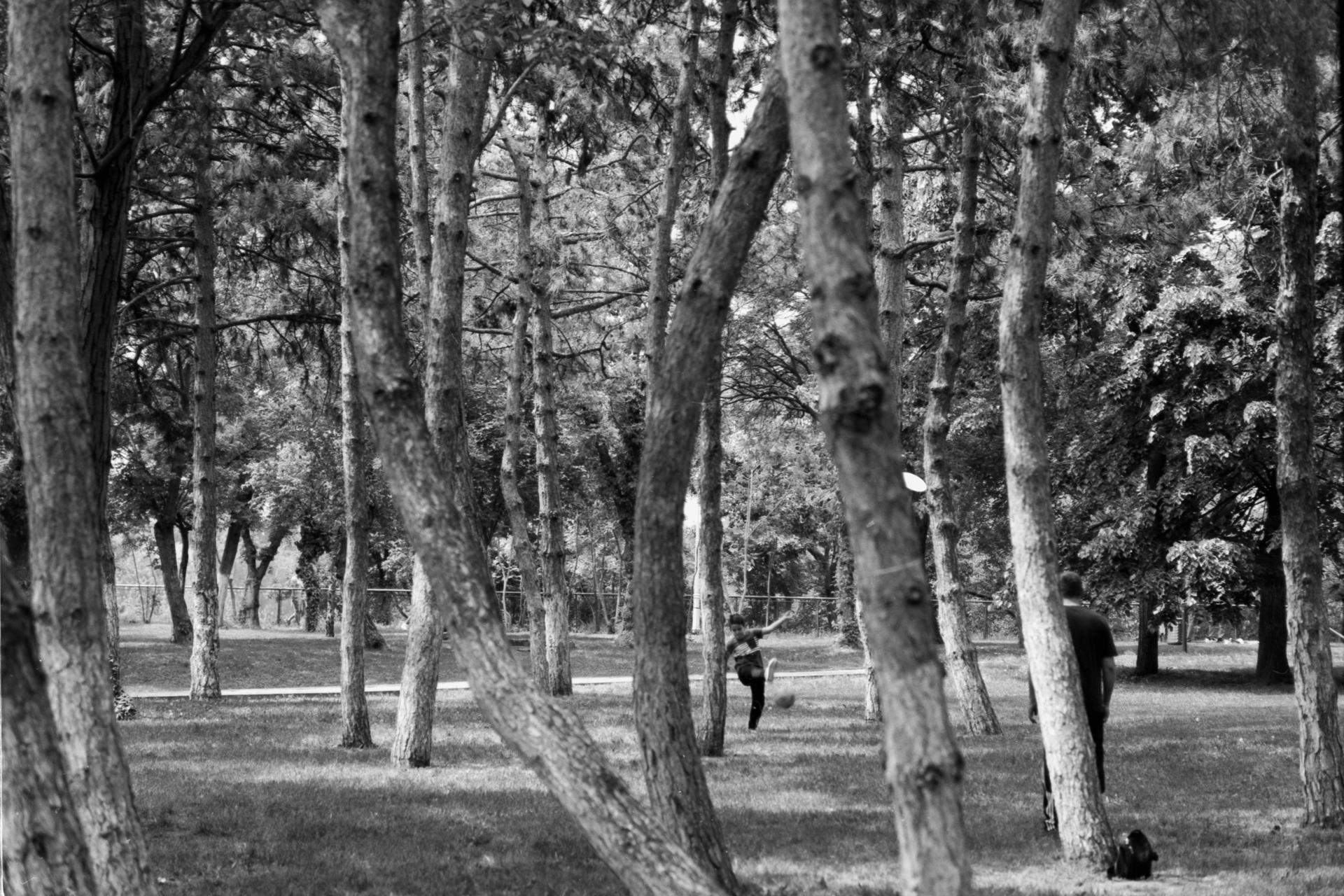 Thumbnail /2022 Bucharest/kind schießt.jpg